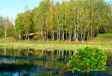 Березовый веник